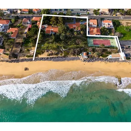 Dune Coliving 호스텔