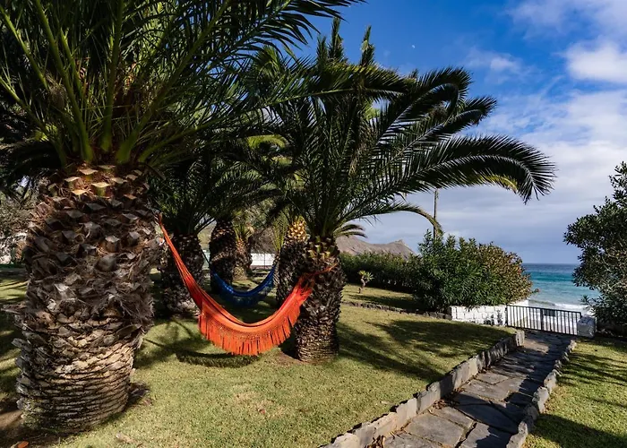 Dune Coliving Hostel *